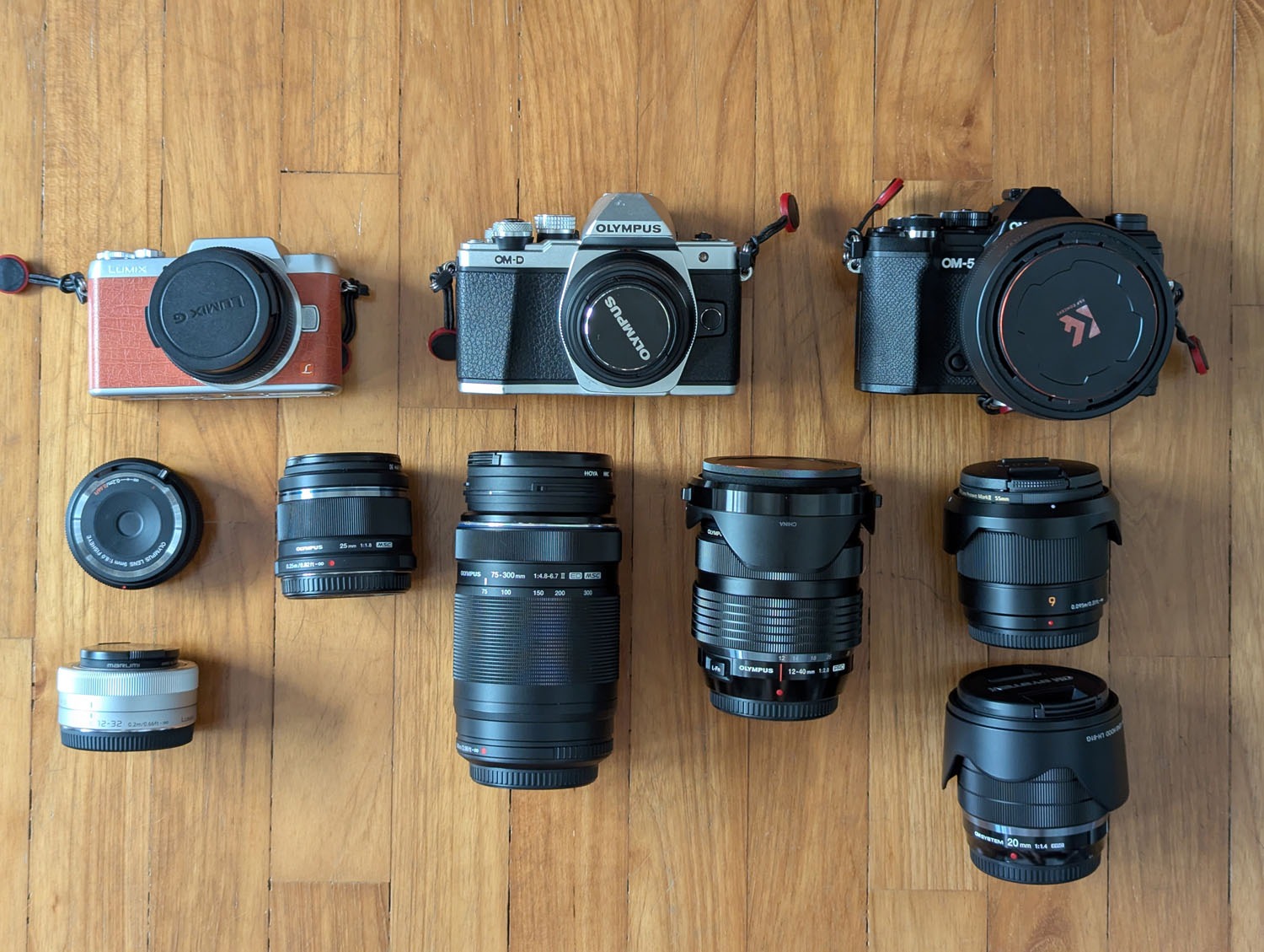 Dusted off my E-M10, and never looked back - Olympus Passion