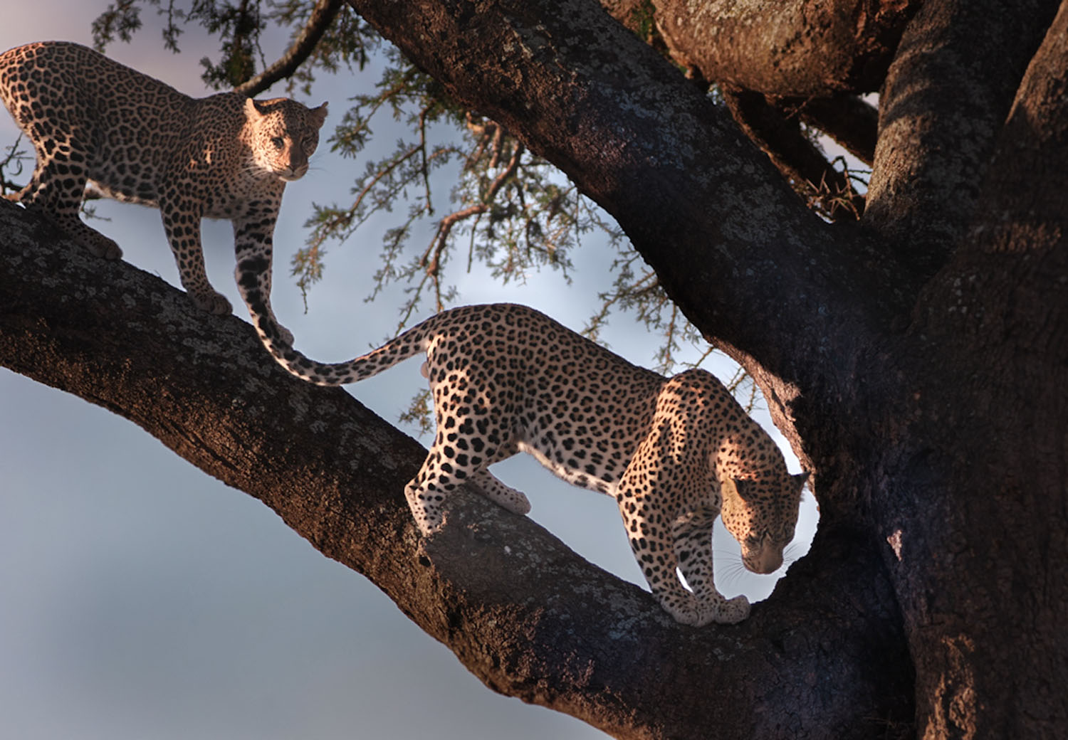 Exploring the world through the lens: A conversation with Sonia Holst