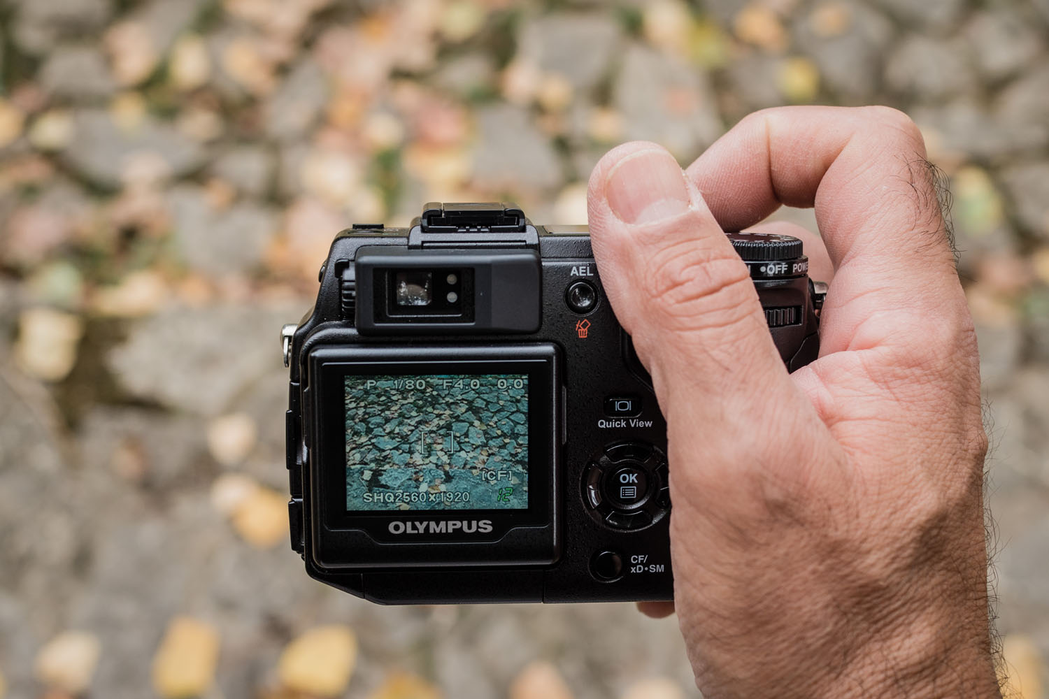 Premium/ Olympus Throwback: C-5050 The Compact Premium from a Past 