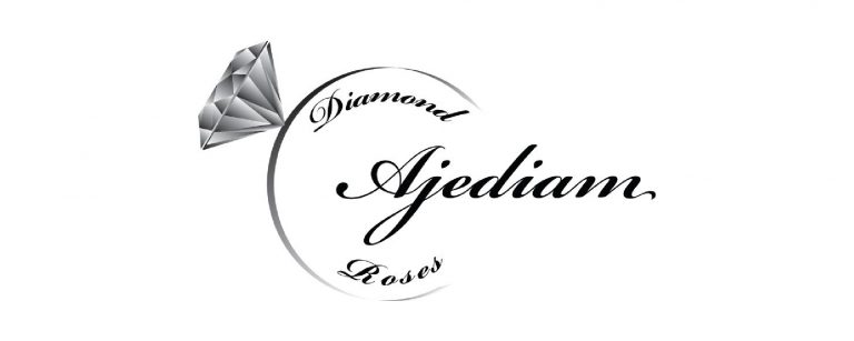 ajediam_Tekengebied-1