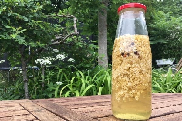 Bottle with a green background, filled with vinegar, elderflowers and peppercorns.