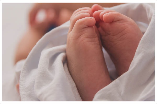 baby feet of a newborn