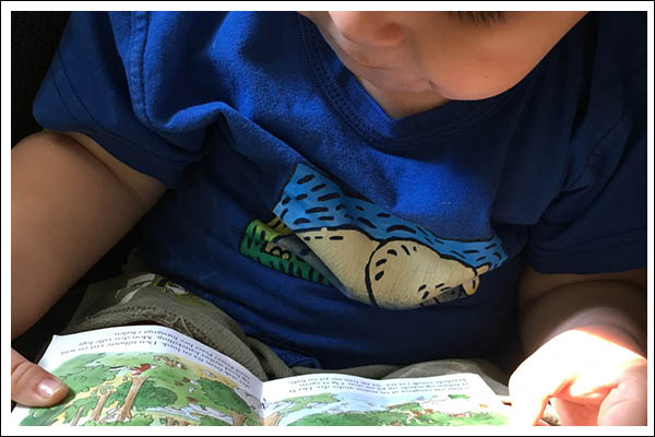 Amazing camping books for toddlers.