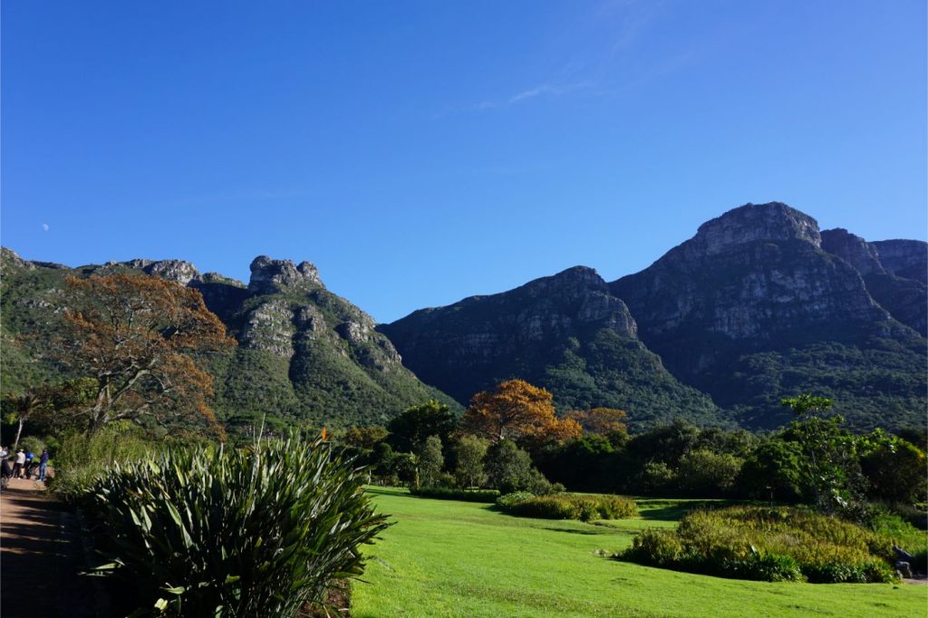 One Second-Hiking Table Mountains-Kirstenbosch Botanical Gardens