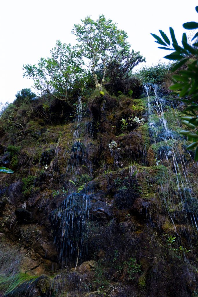 One Second-Hiking Table Mountains-Little waterfall