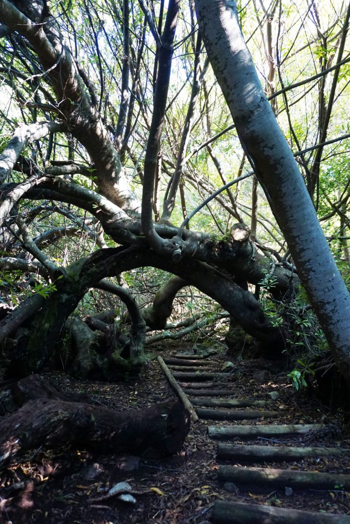 One Second-Hiking Table Mountains-Stairs to the top