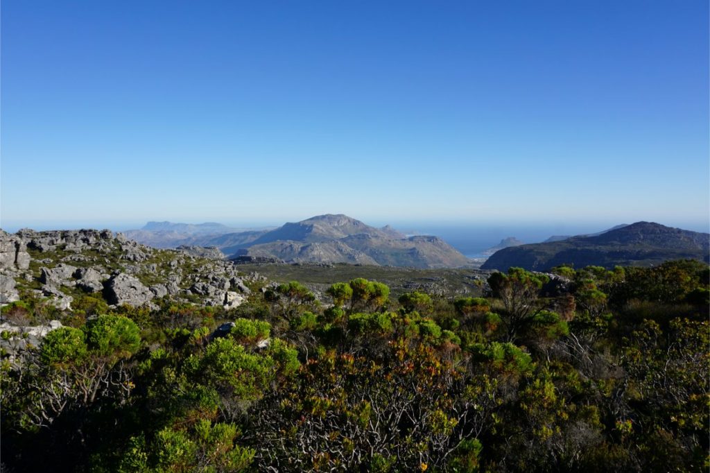 view-top-table-mountain