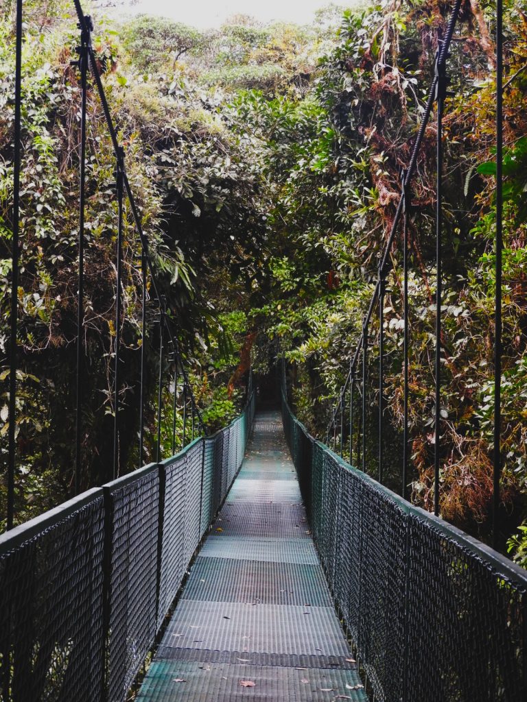 One Second-Costa Rica- Salvatura Park-Canopy Tour