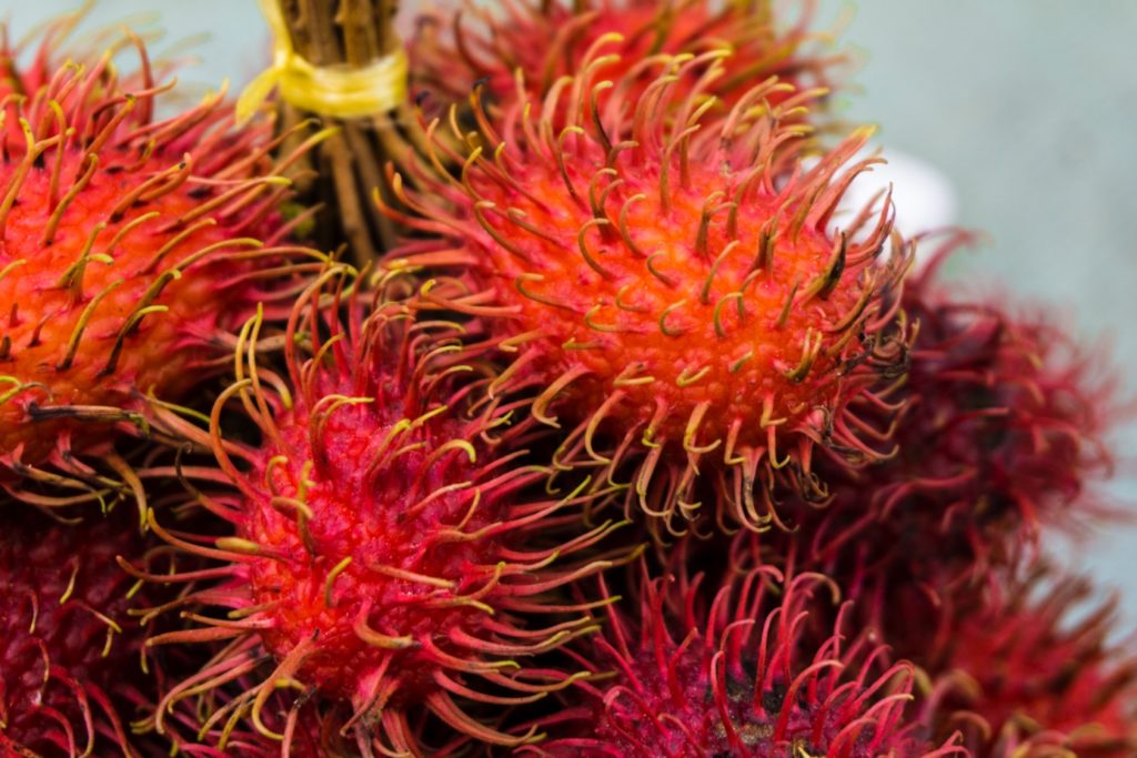 Fresh rambutan on old market in Stone Town Zanzibar