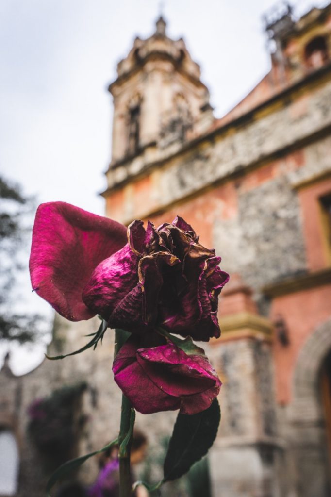 Mexico City en 3 jours - Visite du quartier San Angel