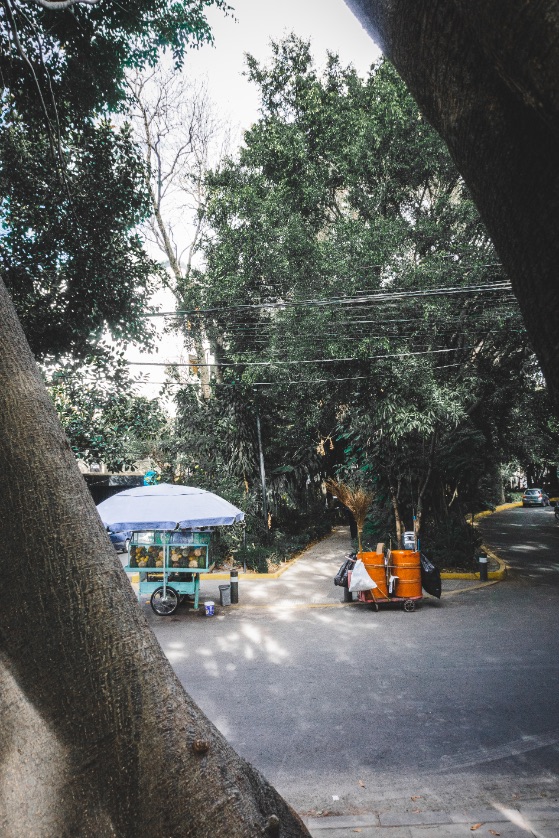 Mexico City en 3 jours - Découverte du quartier de la Condesa