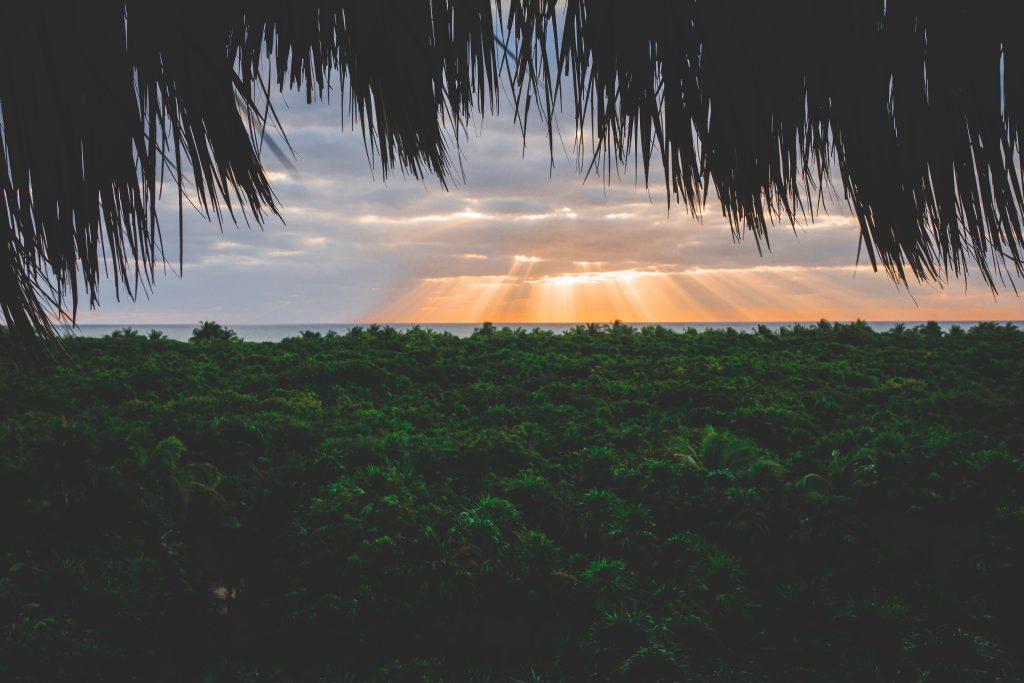 Lever du soleil sur la forêt tropicale de la réserve naturelle de Sian Ka'an - Yucatán - One Second Journal