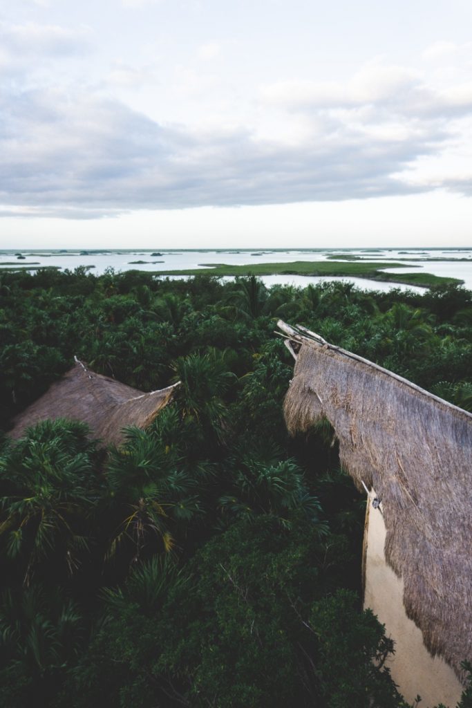 Endless view on Sian Ka'an Reserve - Yucatán, Mexico in pictures