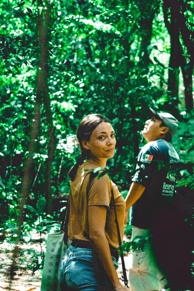 Tropical forest - Yucatán, Mexico in pictures