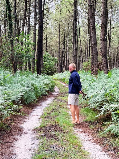 foret-landes-greengo