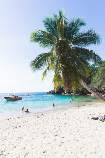 Anse Dufour - Les plus beaux endroits à voir en Martinique