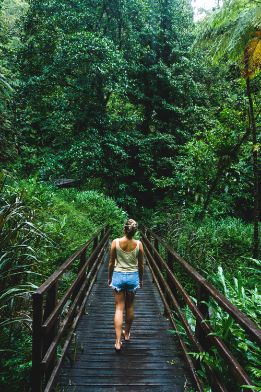 En direction du Saut du Gendarme - Martinique