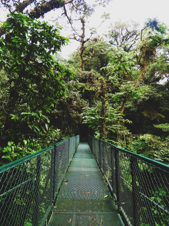 -Canopy-Tour-Monteverde Costa Rica