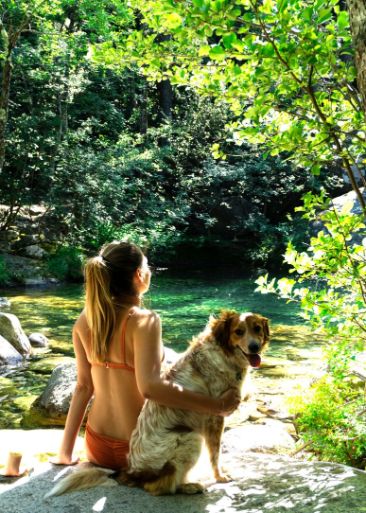 polischellu-waterfalls-corsica-dog
