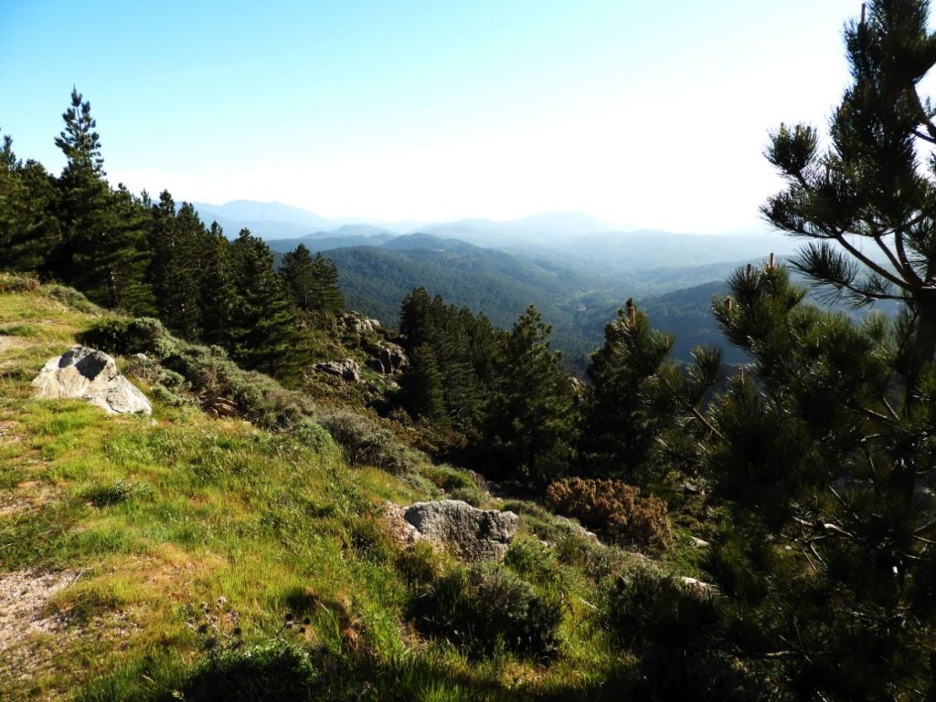 viez-bavella-mountains-corsica-hiking