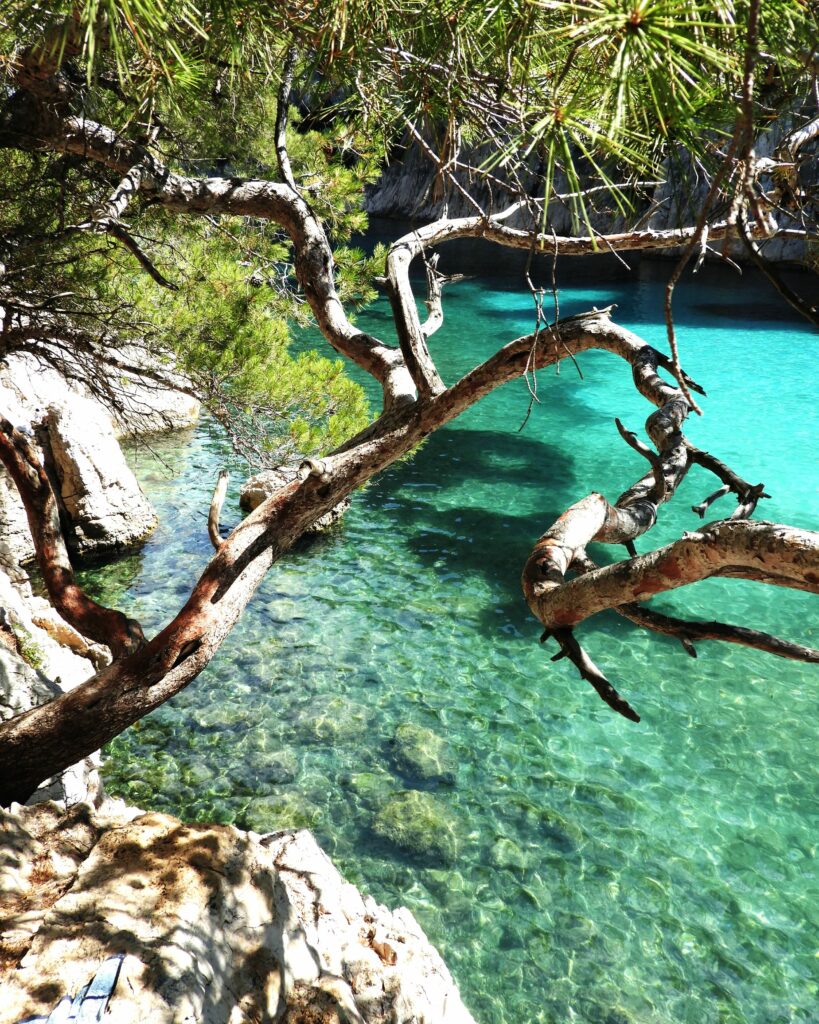 eau-turquoise-calanque-en-vau