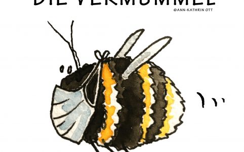 DIE VERMUMMEL - eine Hummel mit Maske