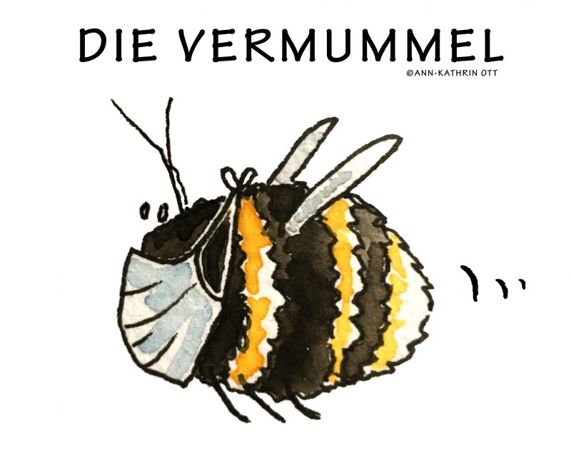 DIE VERMUMMEL - eine Hummel mit Maske