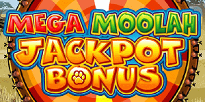 The mega jackpot bonus wheel