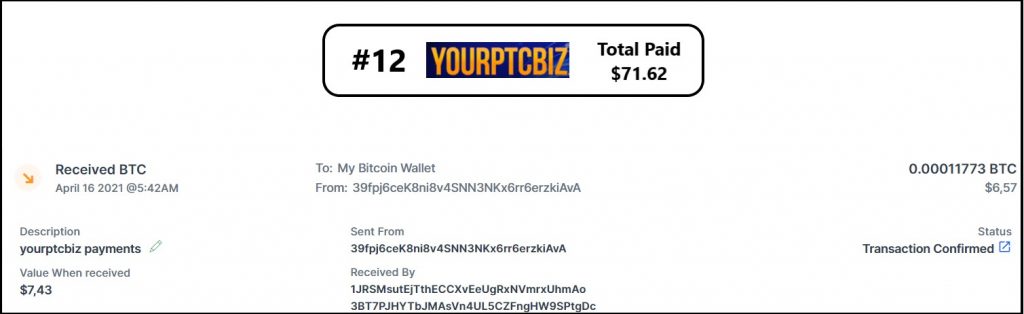 yourptcbiz payment