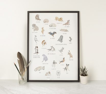 This A3 Dog Yoga Print makes the perfect gift for any age! Printed with archival inks on 310gsm, 100% cotton rag, German Etching paper. Individually packed in a clear plastic sleeve with a cardboard backing.