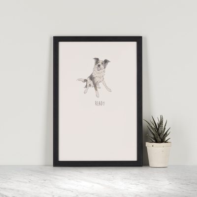 This A5 Ready – Border Collie Print makes the perfect gift for any age! Printed with archival inks on 310gsm, 100% cotton rag, German Etching paper. Individually packed in a clear plastic sleeve with a cardboard backing.