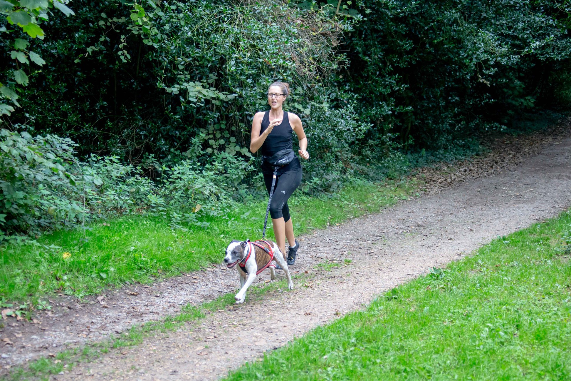 canicross locks heath