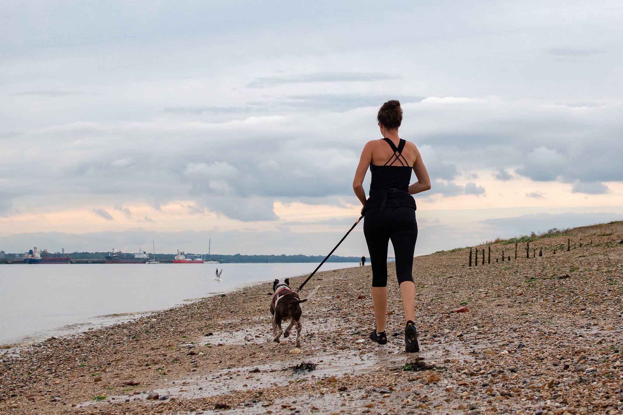 dog jogger in titchfield 
