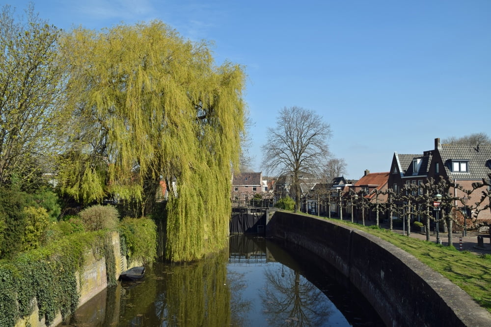 Ontstoppingsdienst Nieuwegein