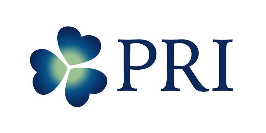 logo PRI ontwikkelmoed