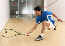 Squash drills for juniors