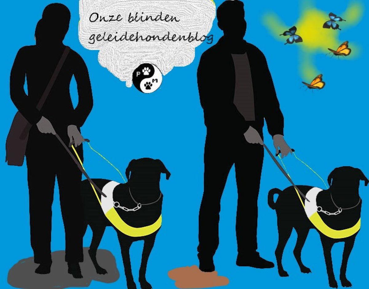 Een blog over onze blindengeleidehonden