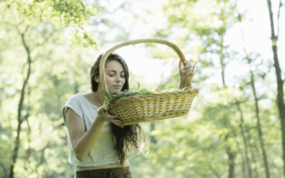 vilde spiselige planter i en kurv