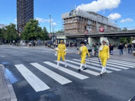 Copenhagen Opera Festival