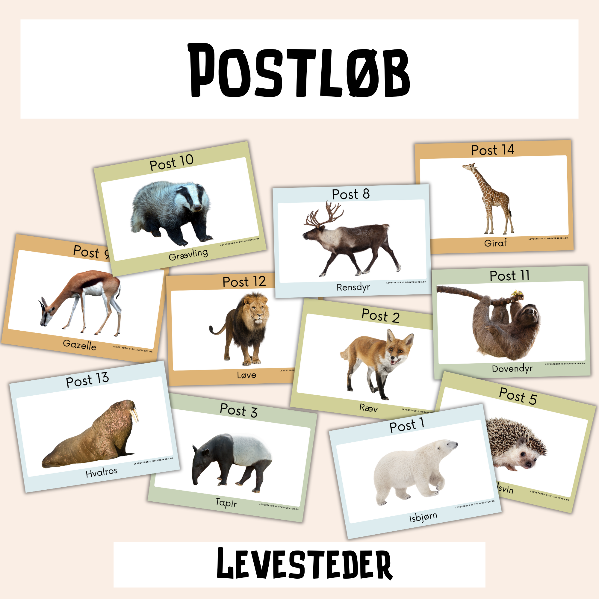 You are currently viewing Svarark til postløb med billeder