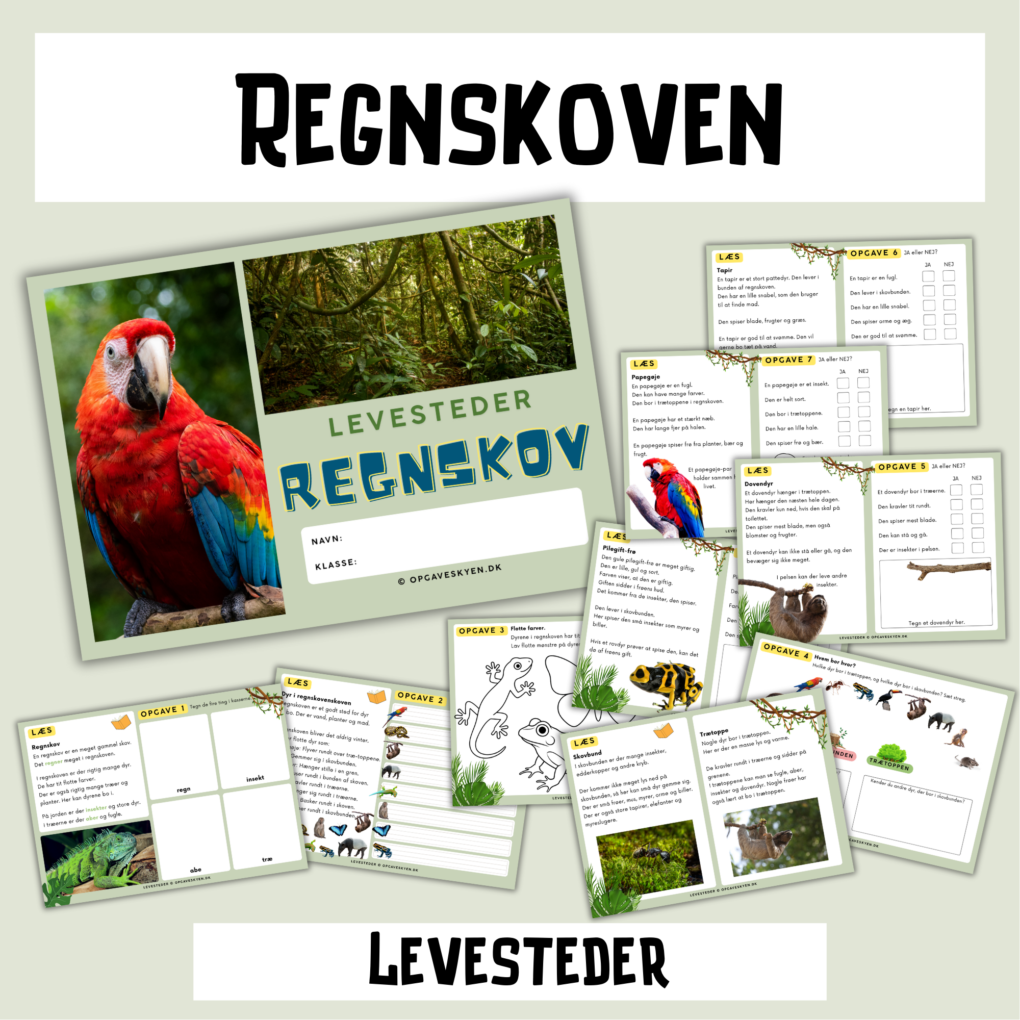 You are currently viewing Regnskov