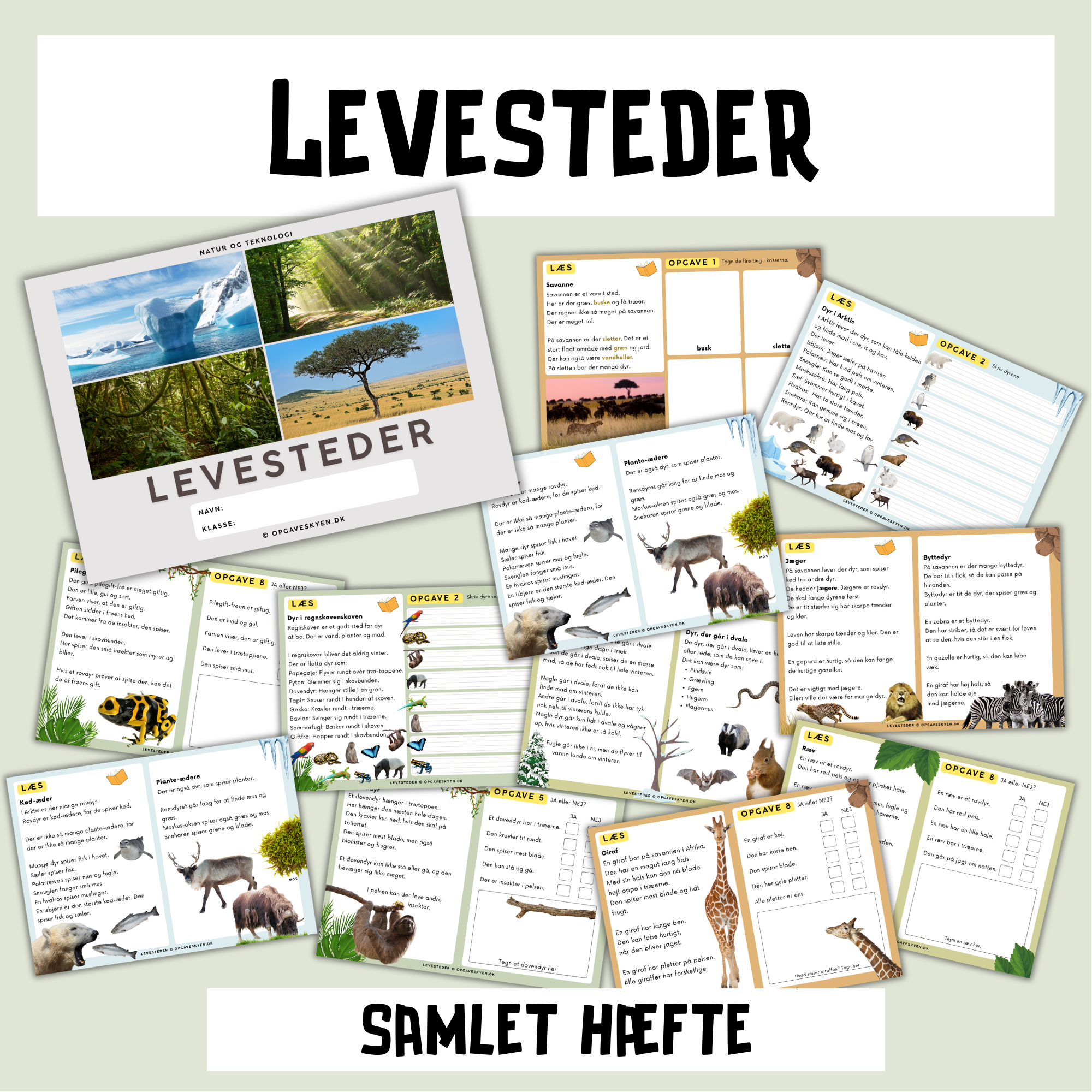 Read more about the article Levesteder samlet hæfte
