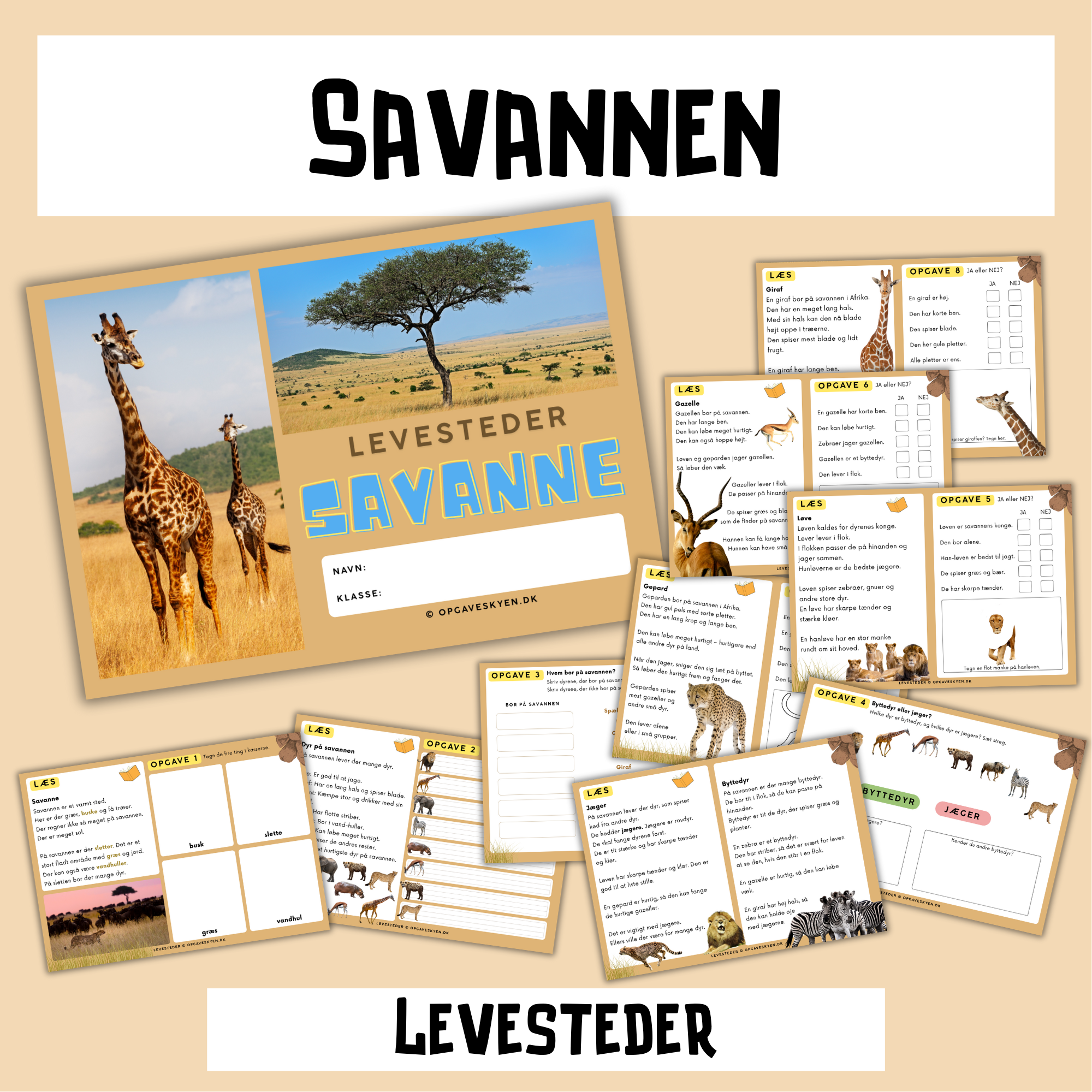 You are currently viewing Savanne