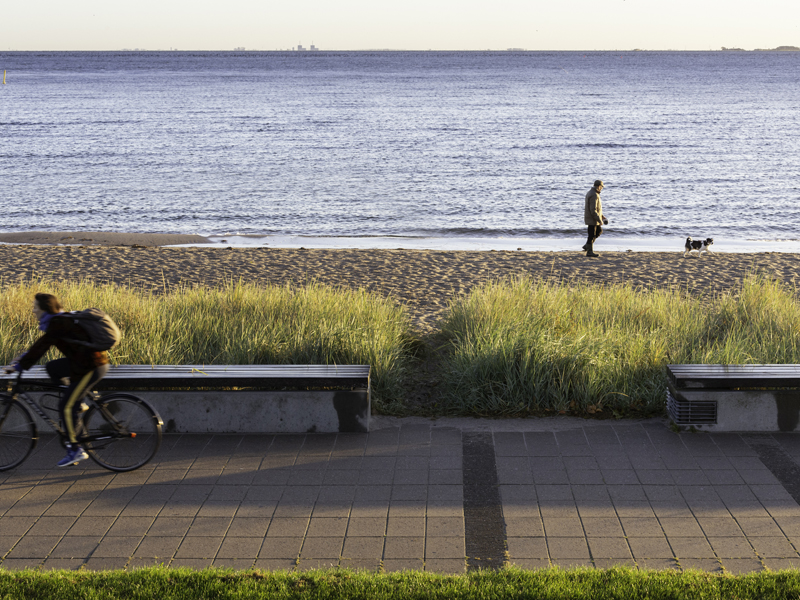 Opland udvikler landskaber - Kastrup Strandpark