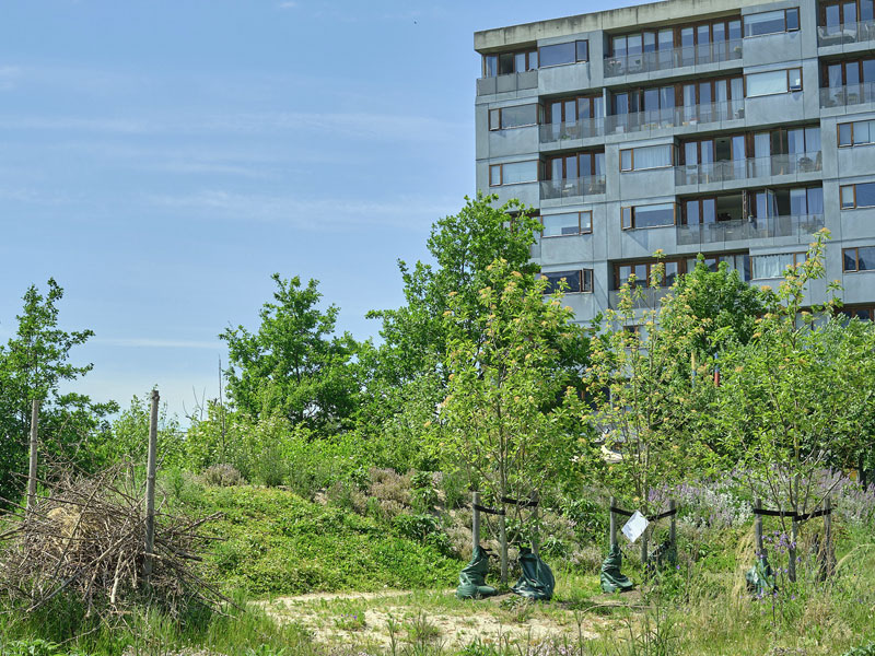 pleje og drift ørestad