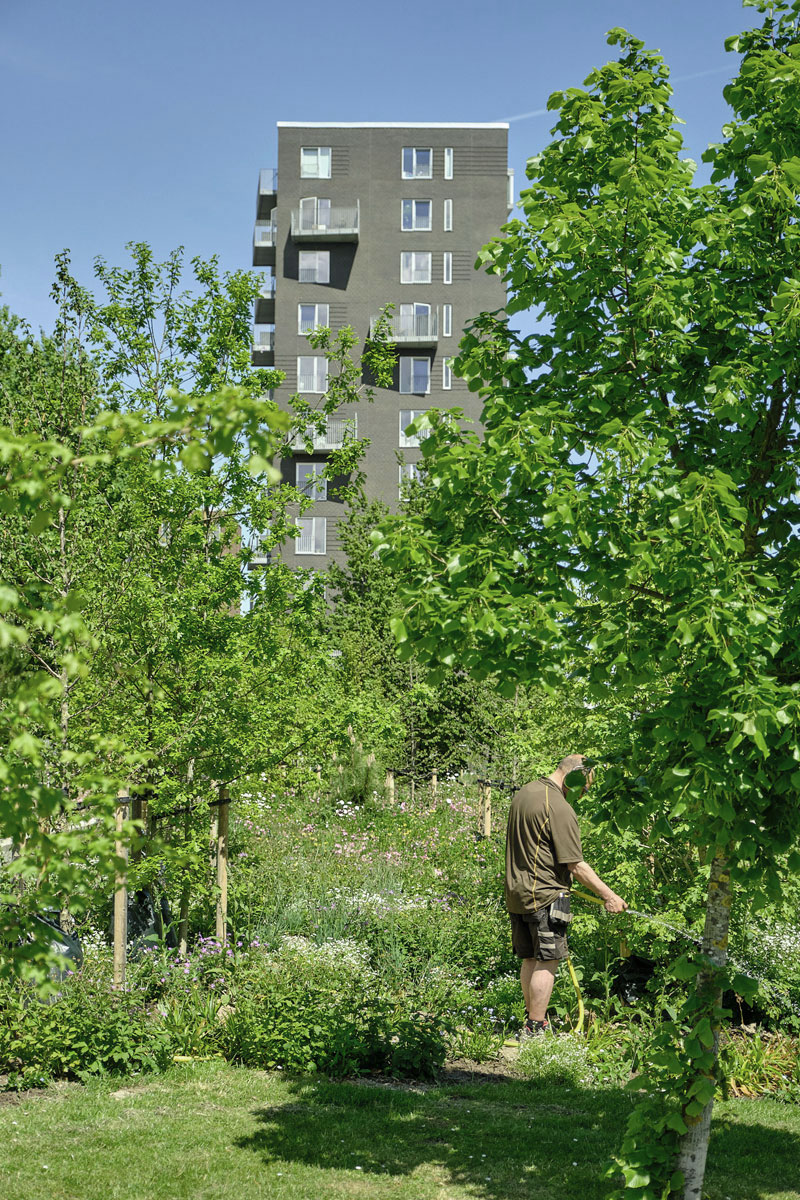 Drift og pleje i Ørestad