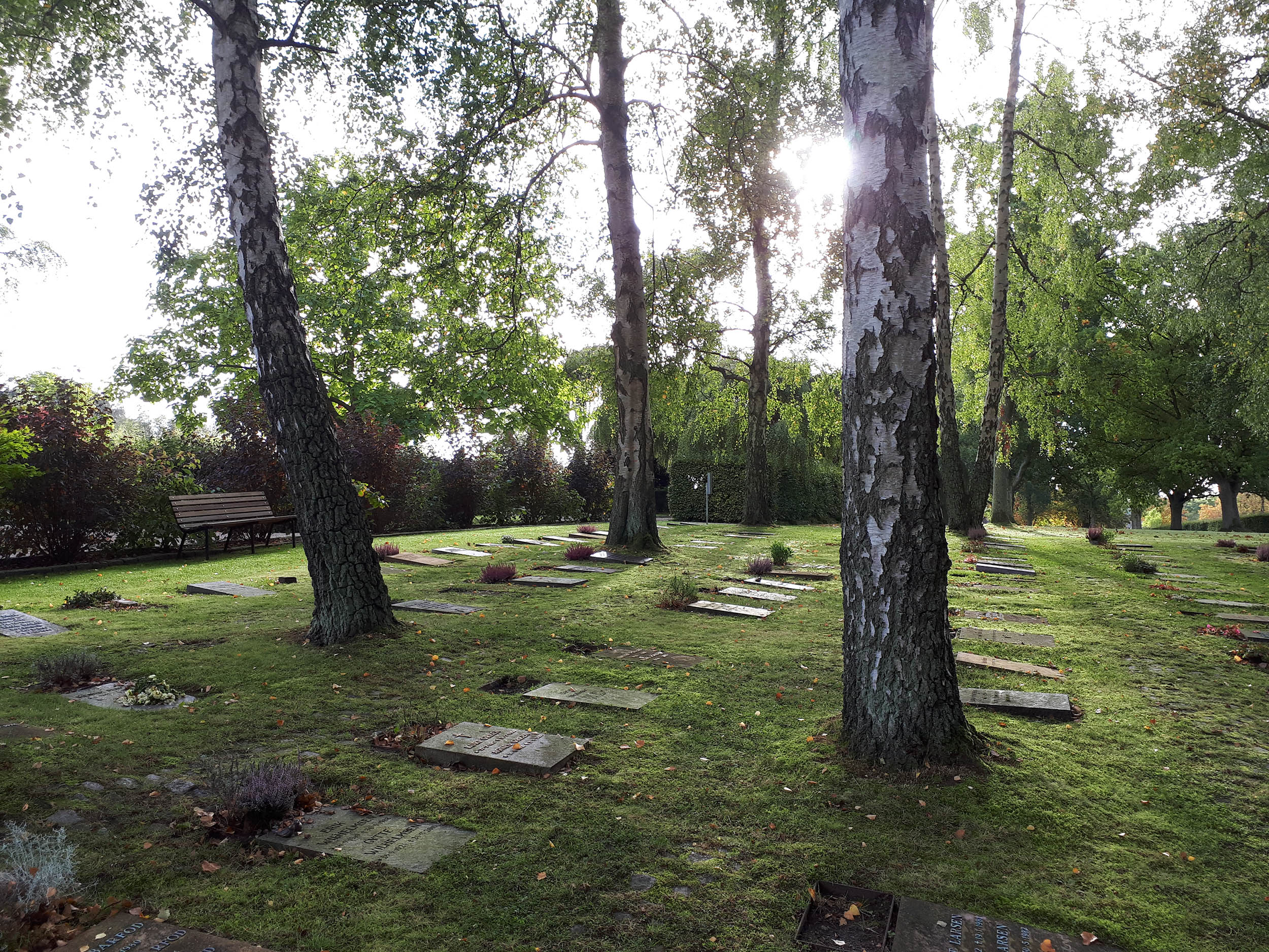 5 kirkegårde