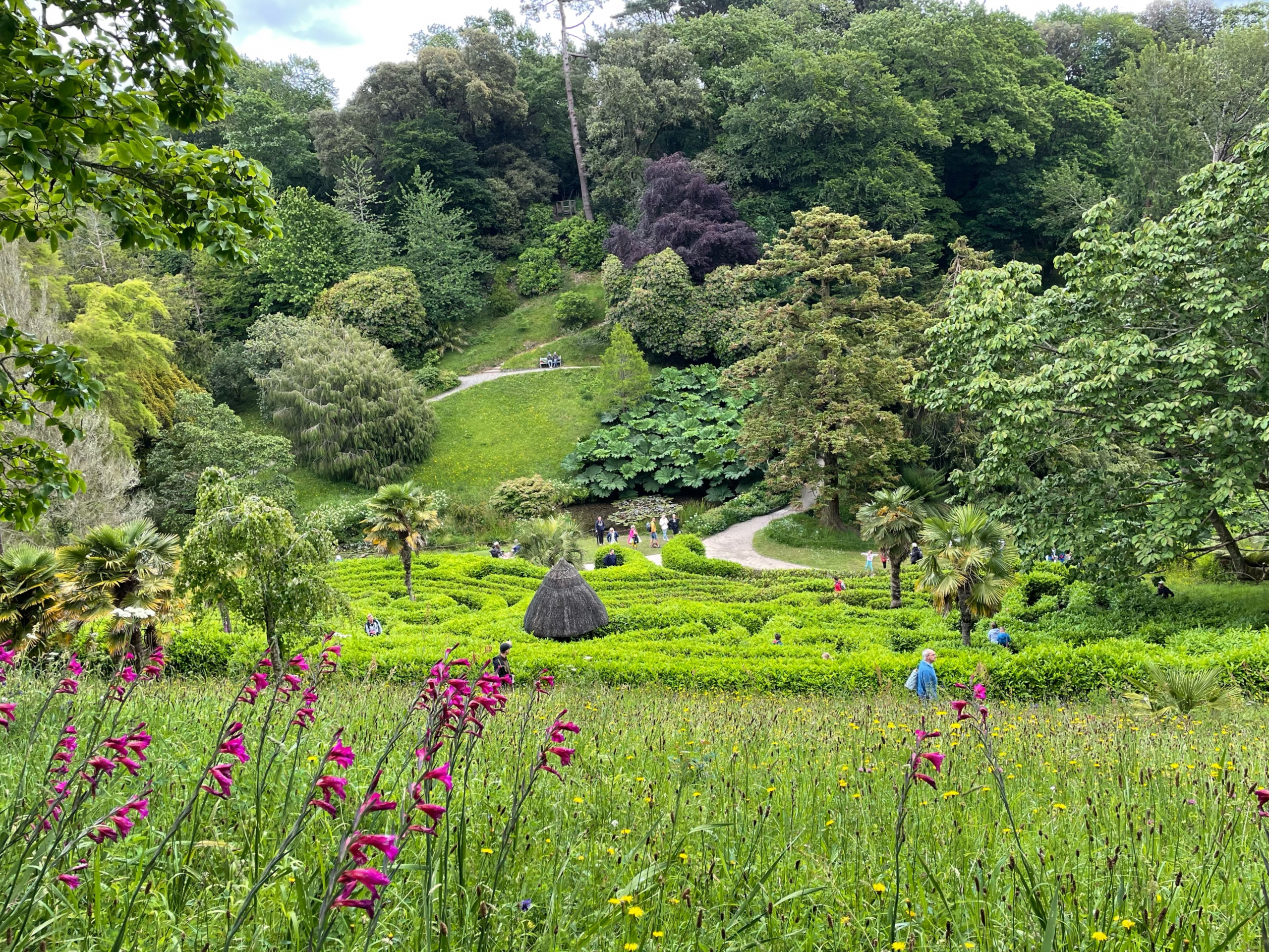 Opland på studietur i Cornwall