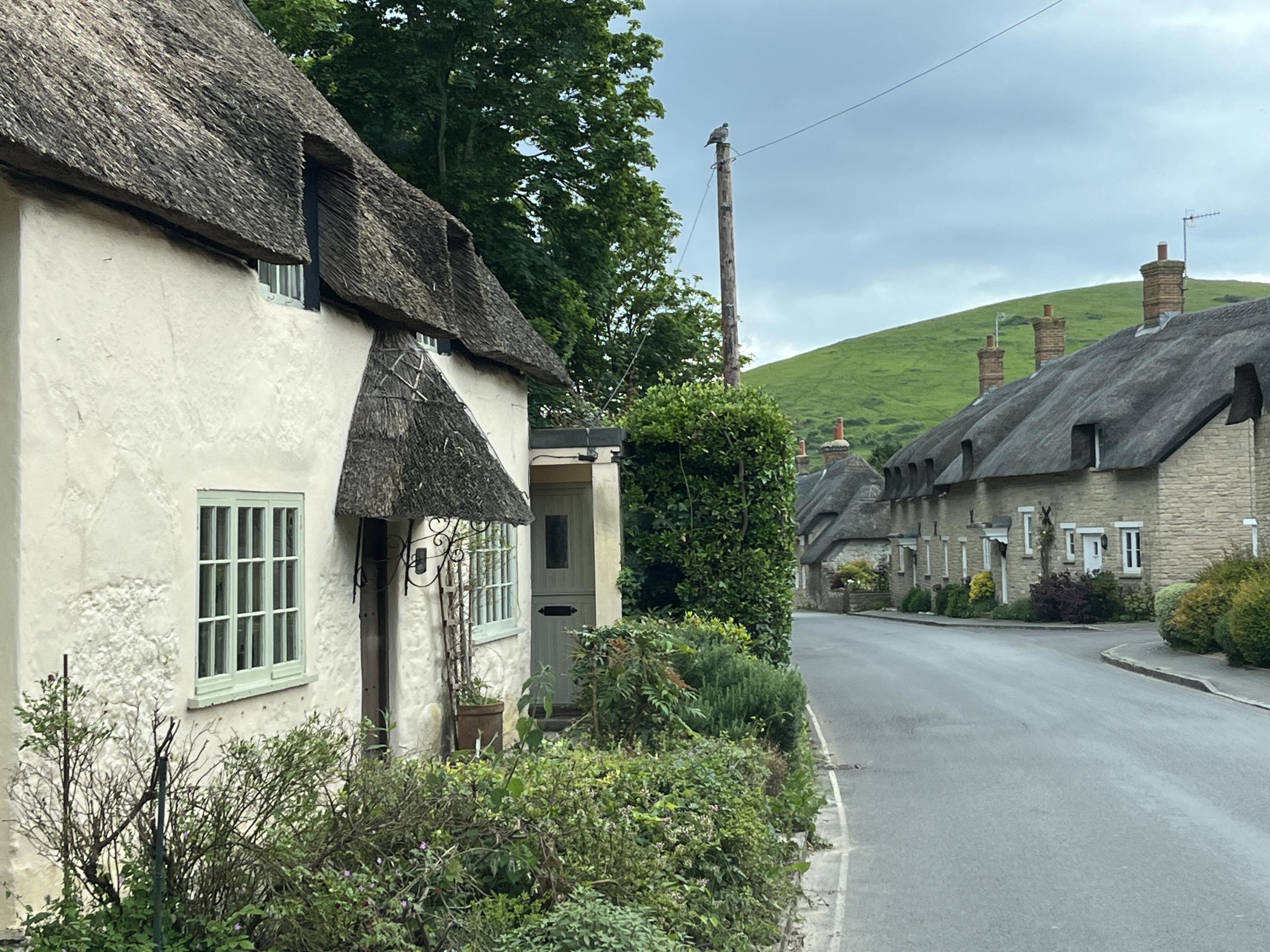 Opland på studietur i Cornwall