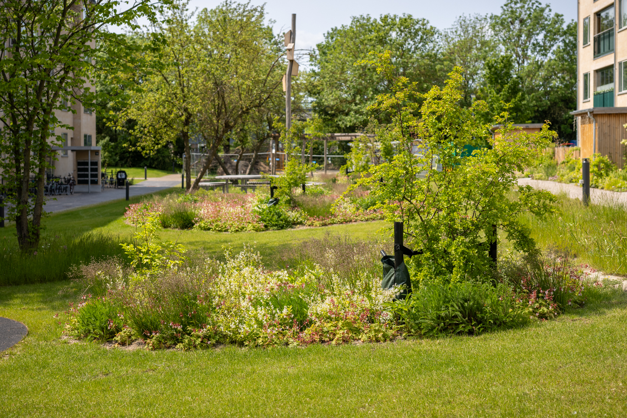 Henriksgården (web)-6